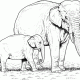 Coloring book pages of elephants